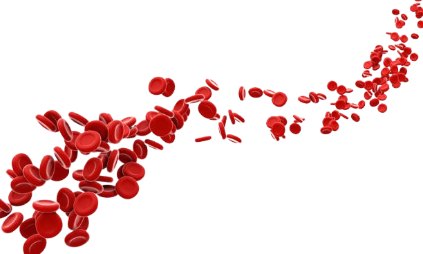 istockphoto-1179992727-612x612-removebg-preview